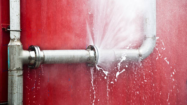 Best Water damage contractors near me  in Elysburg, PA